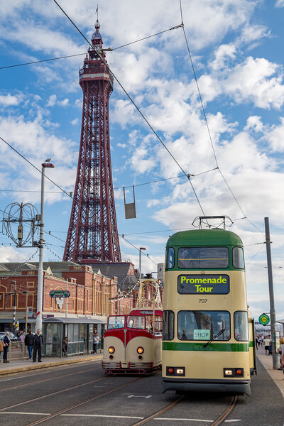 Old trams under Blackpool Tower Picture Board by Jason Wells