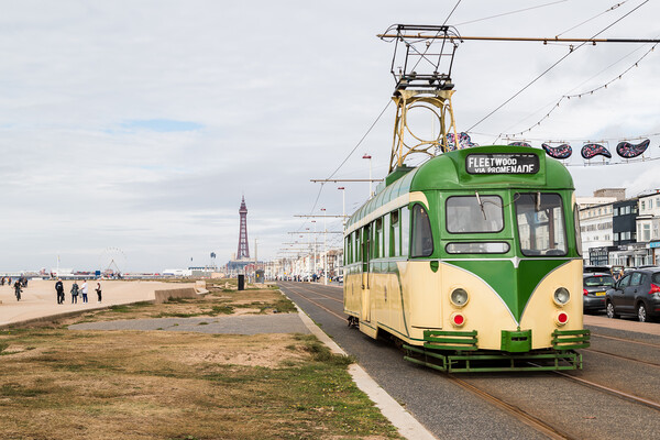 Old tram travels down Blackpool seafront Picture Board by Jason Wells