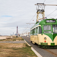 Buy canvas prints of Old tram travels down Blackpool seafront by Jason Wells