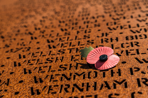 Poppy at International Bomber Command Centre Picture Board by Jason Wells