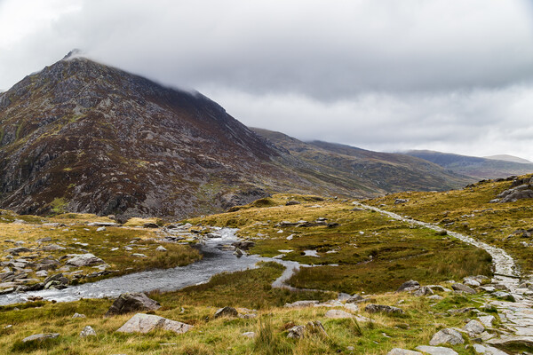 Curving pathway to Llyn Ogwen Picture Board by Jason Wells
