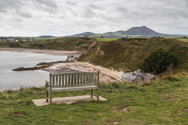Bench overlooking Porthdinllaen Picture Board by Jason Wells