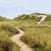 Buy canvas prints of Bending trail through the sand dunes by Jason Wells