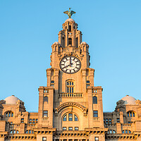 Buy canvas prints of Royal Liver Building at dusk by Jason Wells