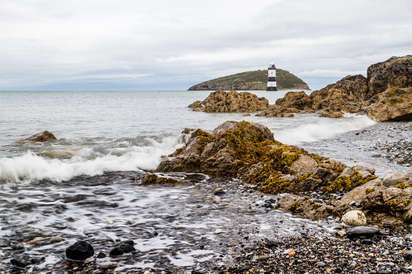 Rocks lead up to Penmon Lighthouse Picture Board by Jason Wells