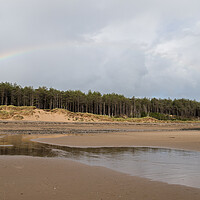 Buy canvas prints of Rainbow over Newborough pinewood by Jason Wells