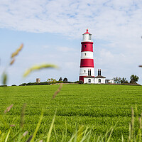 Buy canvas prints of Long grass frames Happisburgh lighthouse by Jason Wells