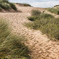 Buy canvas prints of Foot prints leading to Formby beach by Jason Wells