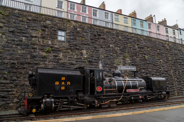 Steam train in Caernarfon station Picture Board by Jason Wells