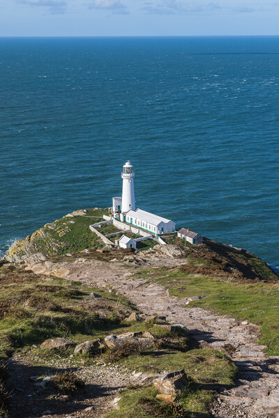 Rocky pathway down to South Stack Lighthouse Picture Board by Jason Wells