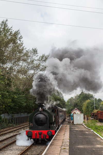 Steam train approaching a platform Picture Board by Jason Wells