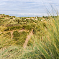 Buy canvas prints of Trails in the sand dunes by Jason Wells