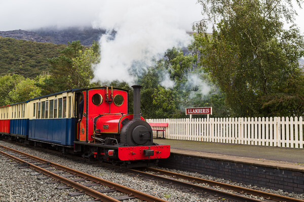 Steam train on the Llanberis Lake Railway Picture Board by Jason Wells