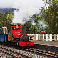 Buy canvas prints of Steam train on the Llanberis Lake Railway by Jason Wells