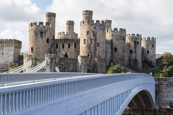 Conwy Castle over the bridge Picture Board by Jason Wells