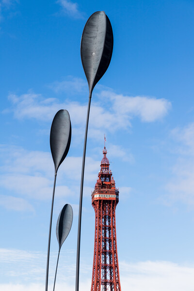 Dart sculptures in front of Blackpool Tower Picture Board by Jason Wells