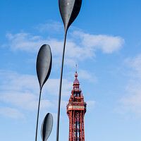 Buy canvas prints of Dart sculptures in front of Blackpool Tower by Jason Wells