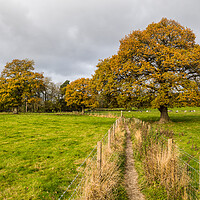 Buy canvas prints of Autumn colours around Hathersage by Jason Wells