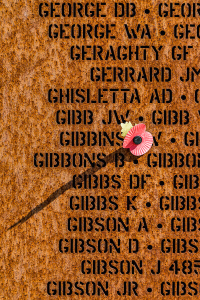 Poppy casting a shadow over names Picture Board by Jason Wells