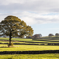 Buy canvas prints of Derbyshire Dales landscape by Jason Wells