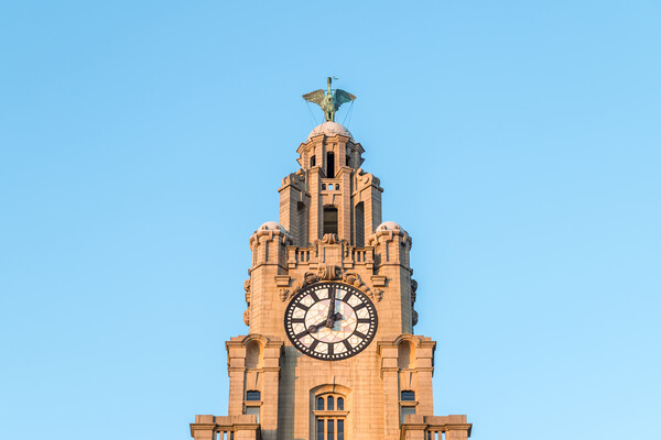Liver Bird high above the Liverpool skyline Picture Board by Jason Wells