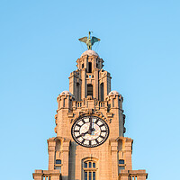 Buy canvas prints of Liver Bird high above the Liverpool skyline by Jason Wells