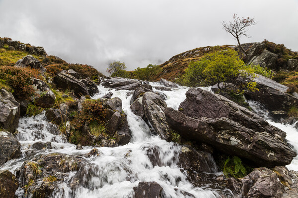 Water crashes over rocks at Ogwen Valley Picture Board by Jason Wells