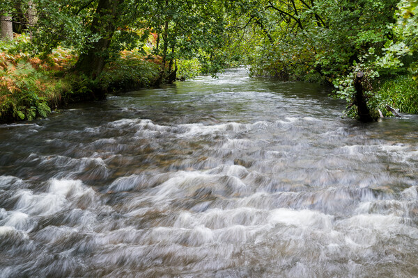 Water flowing towards Llyn Padarn Picture Board by Jason Wells