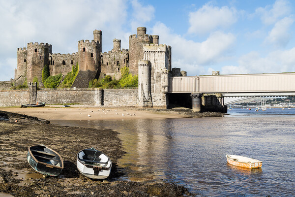Boats in front of Conwy Castle Picture Board by Jason Wells