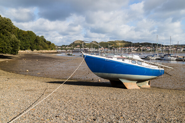 Boat beached at low tide Picture Board by Jason Wells