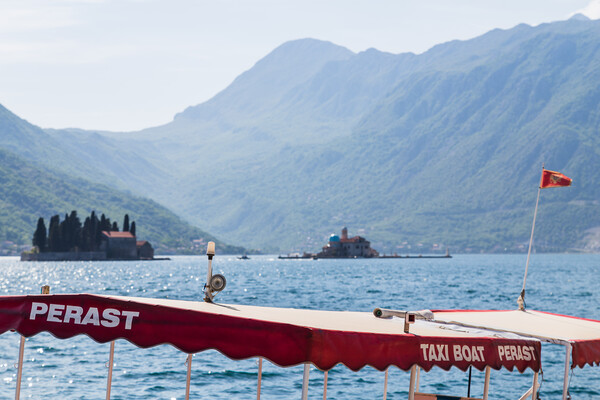 Tourist boat in Perast Picture Board by Jason Wells