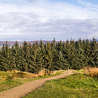 Buy canvas prints of Beacon Fell Country Park panorama by Jason Wells