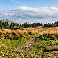 Buy canvas prints of Beacon Fell Country Park summit by Jason Wells
