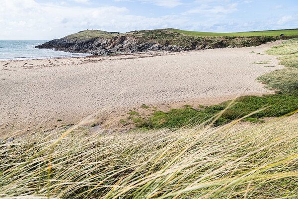 Sand dunes at Porth Nobla Picture Board by Jason Wells