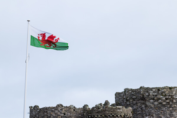Welsh flag above Beaumaris Castle Picture Board by Jason Wells