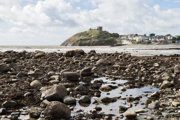 Criccieth Castle above the rocks Picture Board by Jason Wells