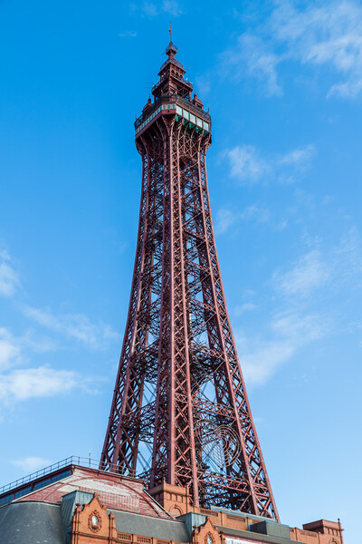 Blackpool Tower high above the skyline Picture Board by Jason Wells