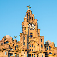 Buy canvas prints of Liver Birds standing proudly by Jason Wells