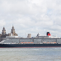 Buy canvas prints of Queen Elizabeth on the Liverpool waterfront by Jason Wells