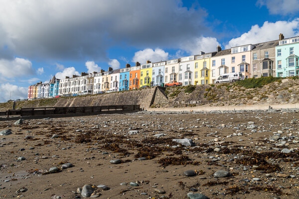 Colourful houses look down on Criccieth beach Picture Board by Jason Wells