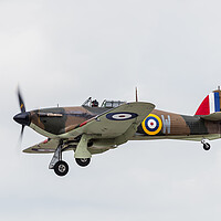 Buy canvas prints of RAF Hurricane comes into land by Jason Wells
