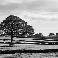 Buy canvas prints of Derbyshire Dales in monochrome by Jason Wells