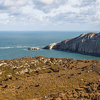 Buy canvas prints of Sheep between North Stack and South Stack by Jason Wells