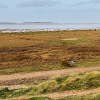Buy canvas prints of Hilbre Island panorama by Jason Wells