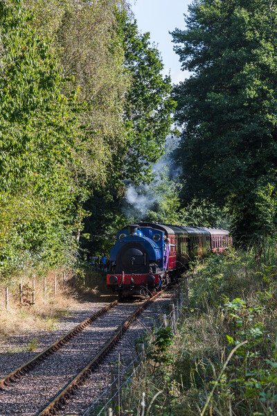 Train on the Ribble Steam Railway Picture Board by Jason Wells