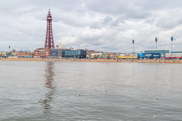 Blackpool Tower at the end of the Golden Mile Picture Board by Jason Wells
