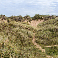 Buy canvas prints of Trails through the Formby sand dunes by Jason Wells