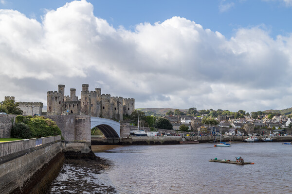 Conwy Castle and harbour panorama Picture Board by Jason Wells
