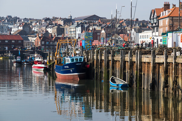 Fishing boats in Scarborough Picture Board by Jason Wells