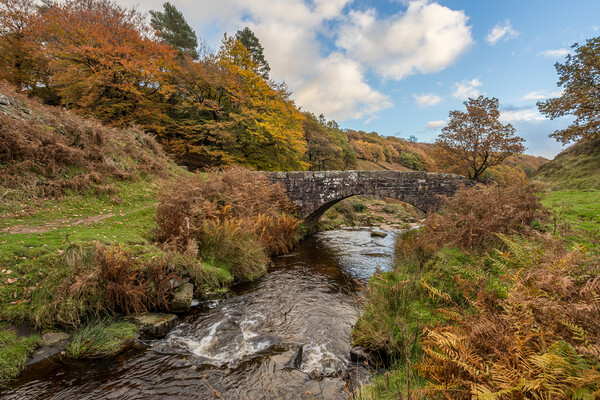 River Dane flowing to Three Shires Head Picture Board by Jason Wells